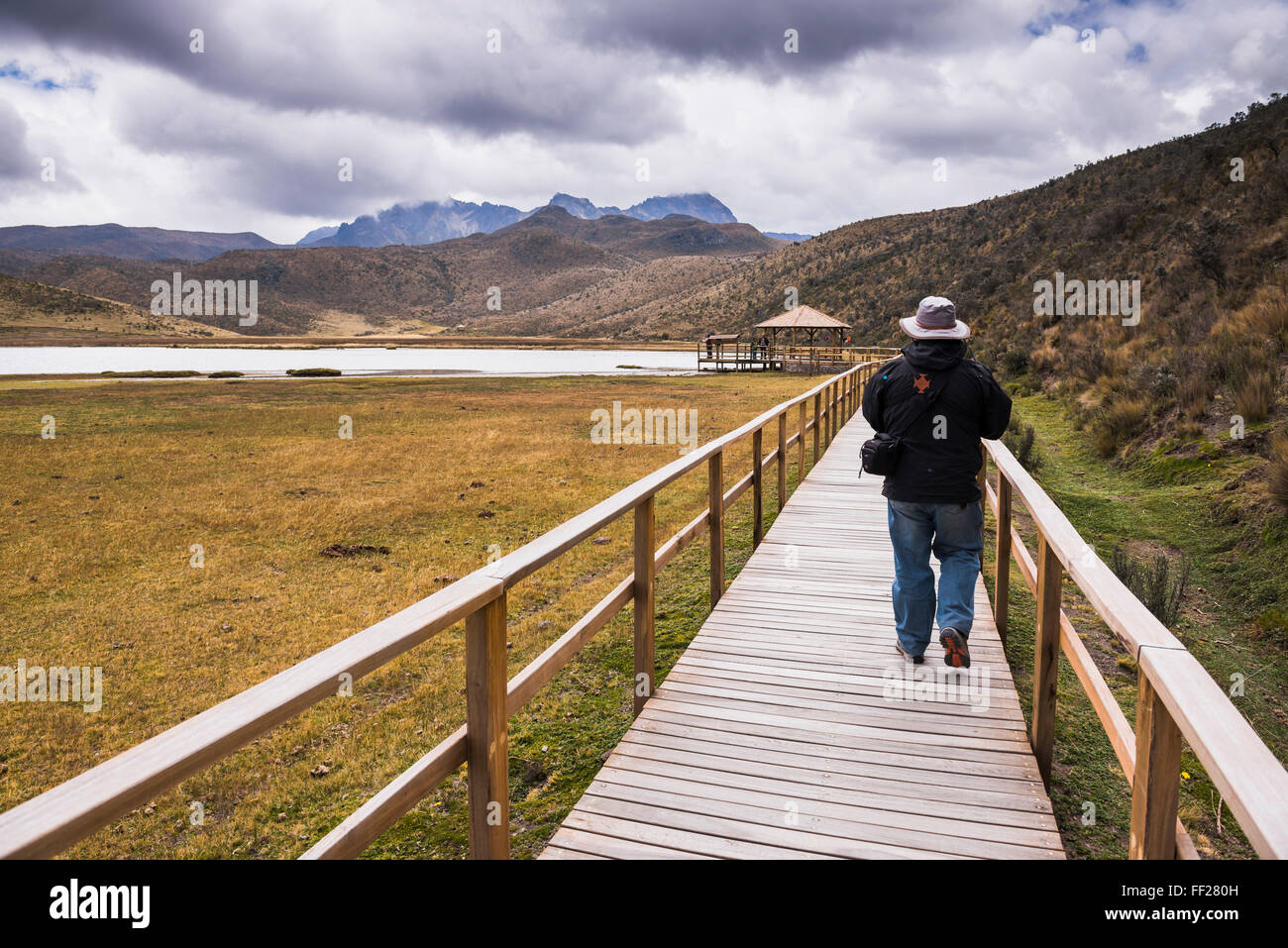 Person, Wandern in der RMake RMimpiopungo im Schatten des Ruminahui VoRMcano, Cotopaxi NationaRM Park, Provinz Cotopaxi, Ecuador Stockfoto