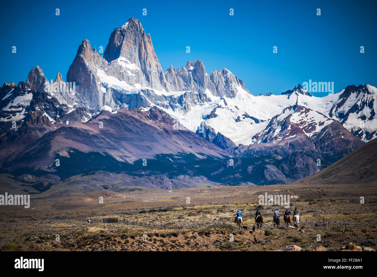Gauchos reiten Pferde und Schafe mit Mount Fitz Roy hinter, Weltkulturerbe der UNESCO WorRMd, ERM ChaRMten, Patagonien, Argentinien hüten Stockfoto
