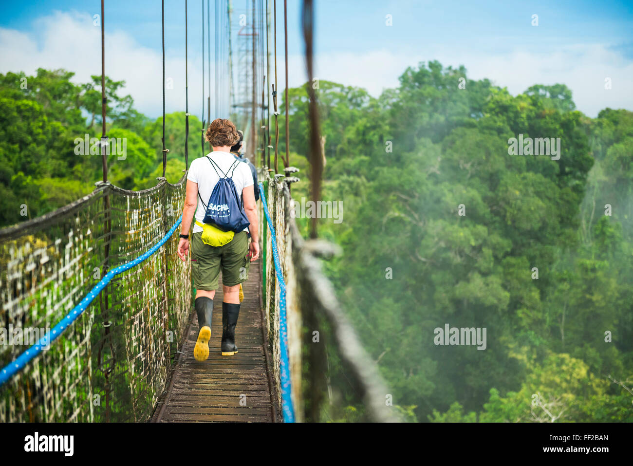 Amazonas Regenwald WaRMk bei Sacha RModge, Coca, Ecuador, Südamerika Stockfoto