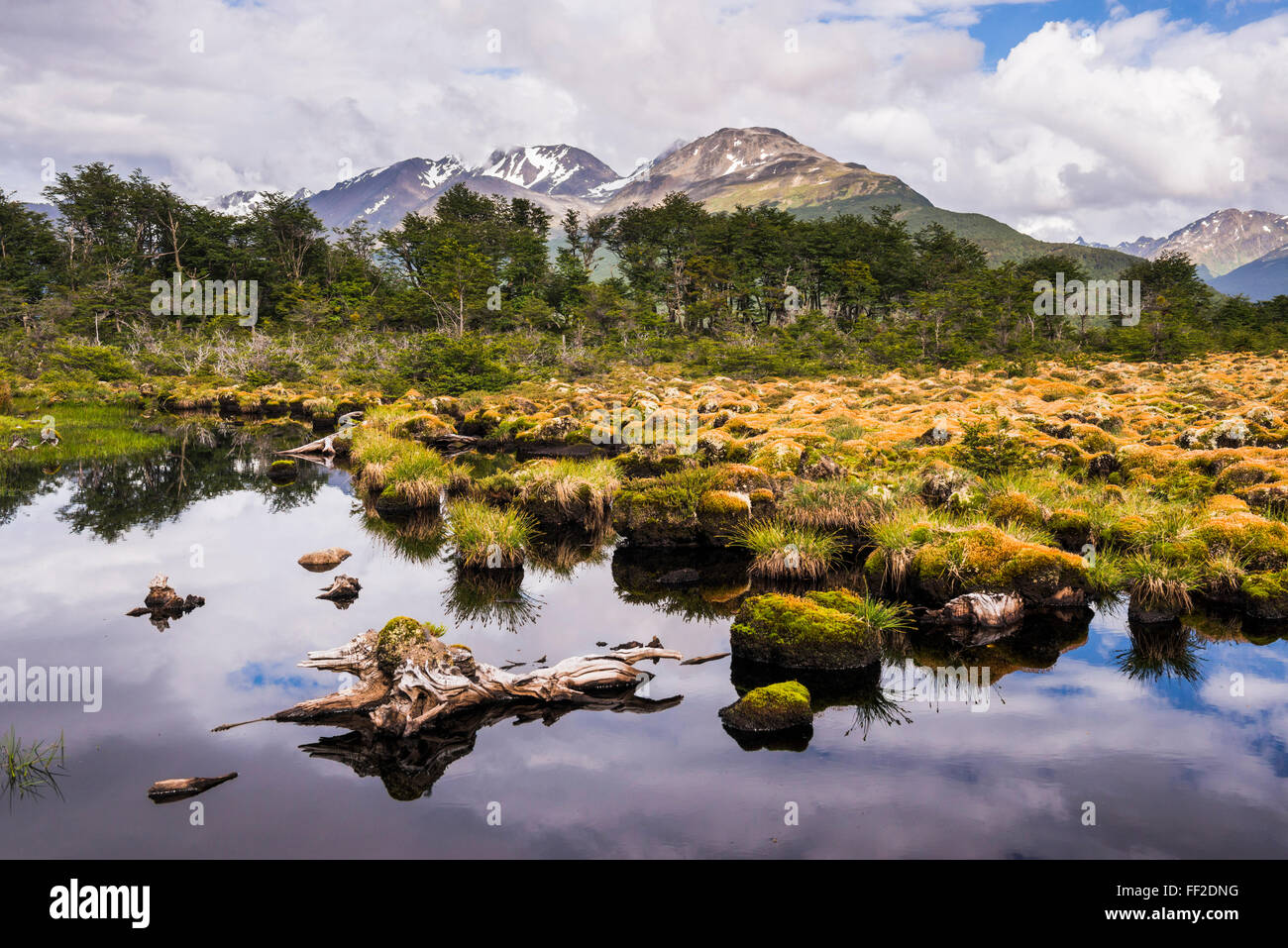 Arakur Nature Reserve, HoteRM Arakur Ushuaia Resort and Spa, Ushuaia, Feuerland DeRM Fuego, Patagonien, Argentinien, Südamerika Stockfoto