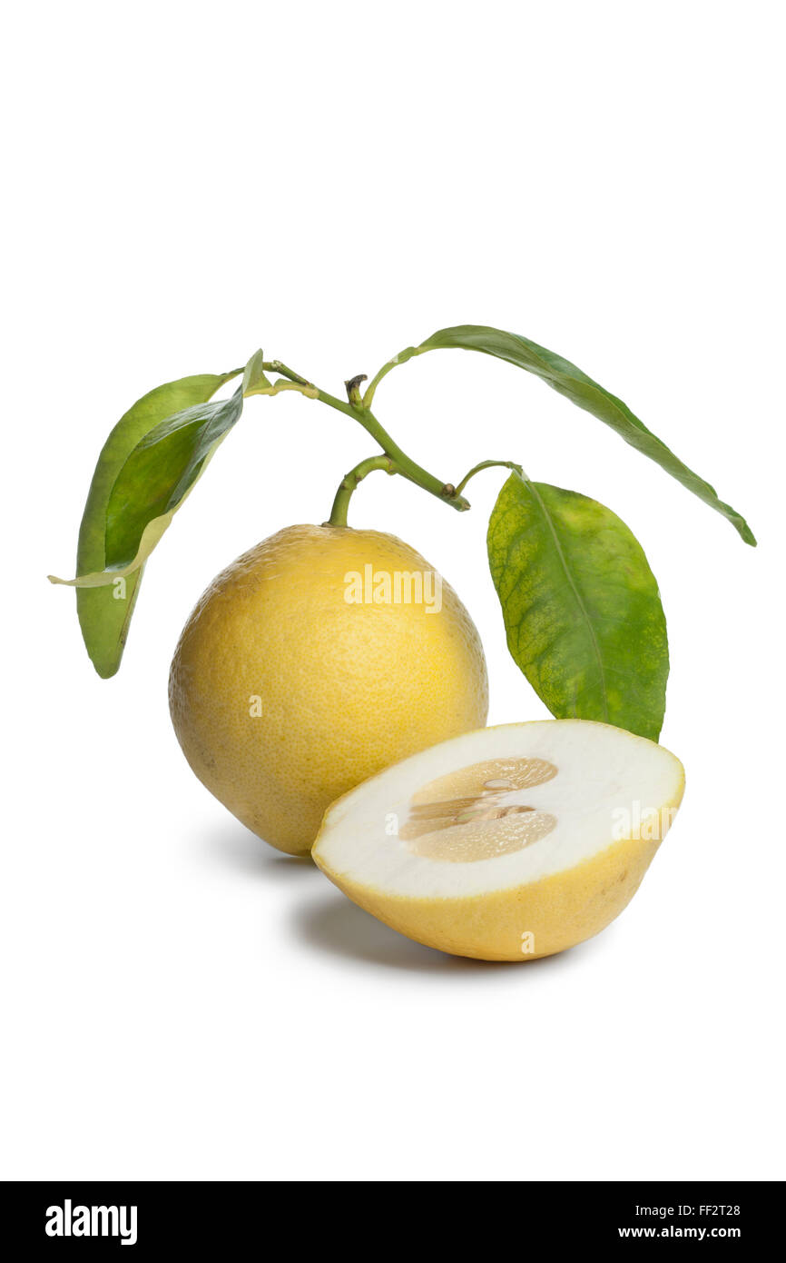 Ganze und halbe Citrus Medica Obst auf weißem Hintergrund Stockfoto