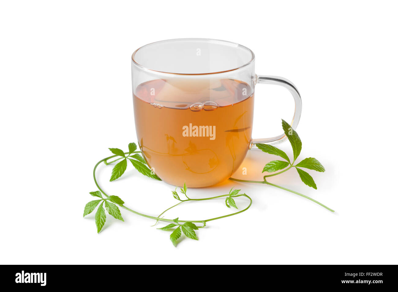 Tasse Tee mit frischen Jiaogulan Kraut auf weißem Hintergrund Stockfoto
