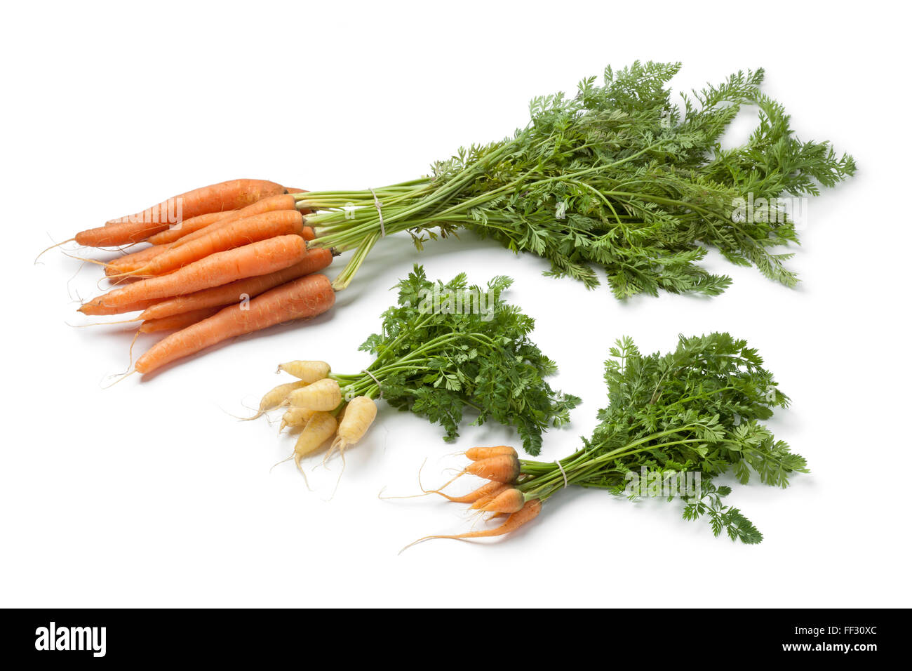 Frische Karotten und Mini Karotten zu sehen, der Unterschied in der Größe auf weißem Hintergrund Stockfoto