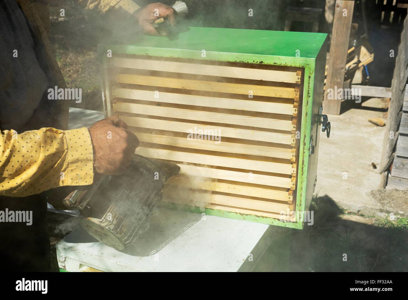 Imker mit Rauch Waben besprüht Stockfoto