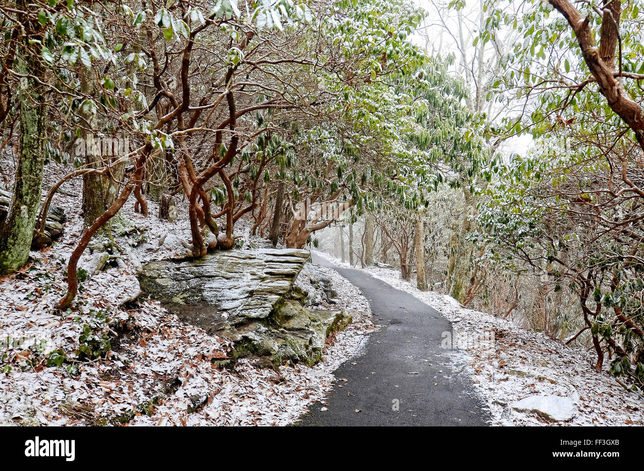 Ein Wanderweg mit einer leichten Prise Schnee am Brasstown Bald. Stockfoto