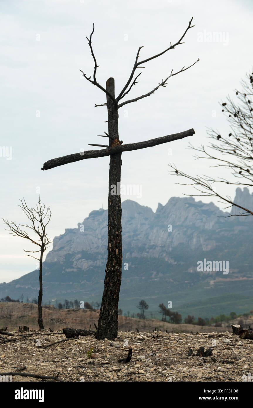 Skulptur in ein Kreuz brennen in einen Baum in Montserrat Barcelona Katalonien, Spanien Stockfoto