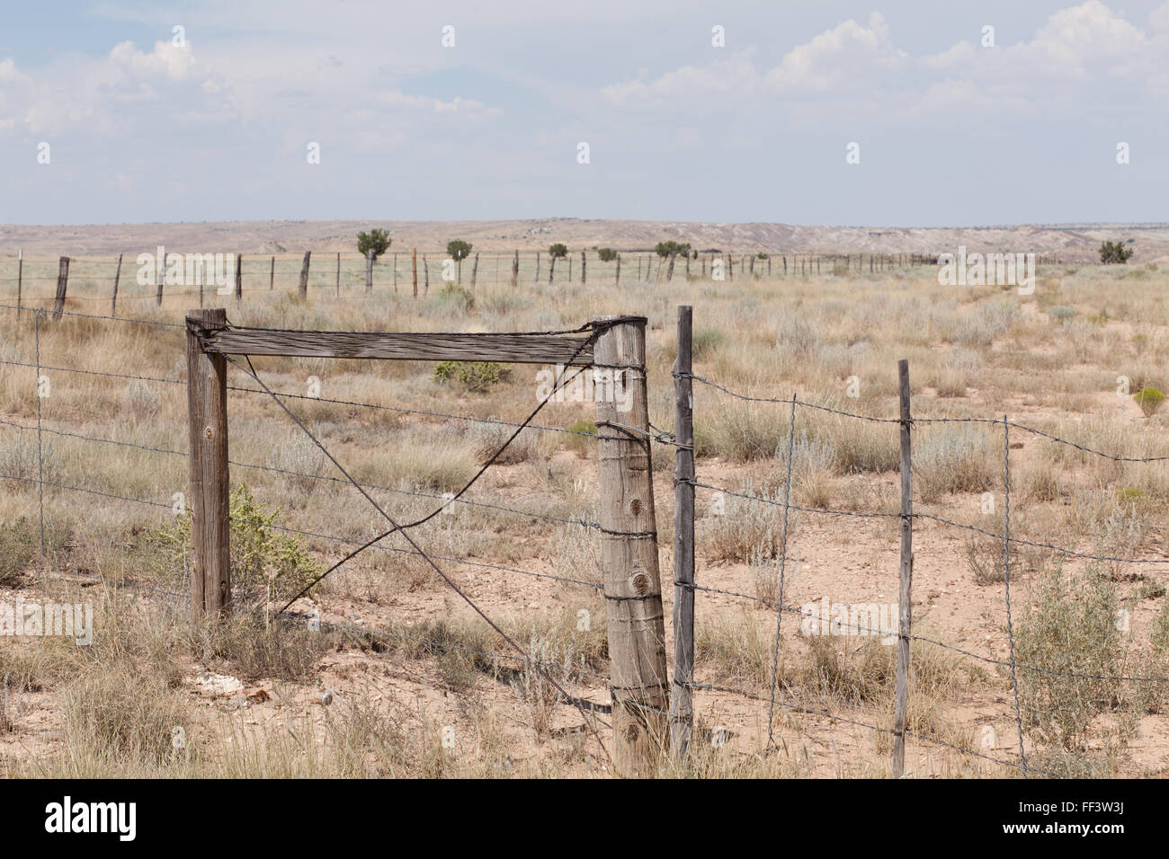 Eingezäunten Landschaft im Zentrum von New Mexiko Stockfoto