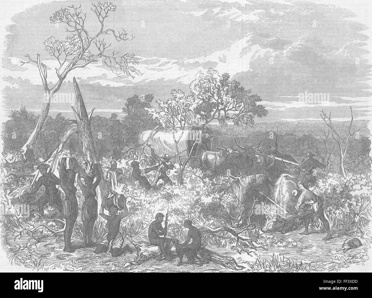 TRANSPORT Reisen, Afrika [Bildunterschrift abgeschnitten] 1868. Illustrierte London News Stockfoto