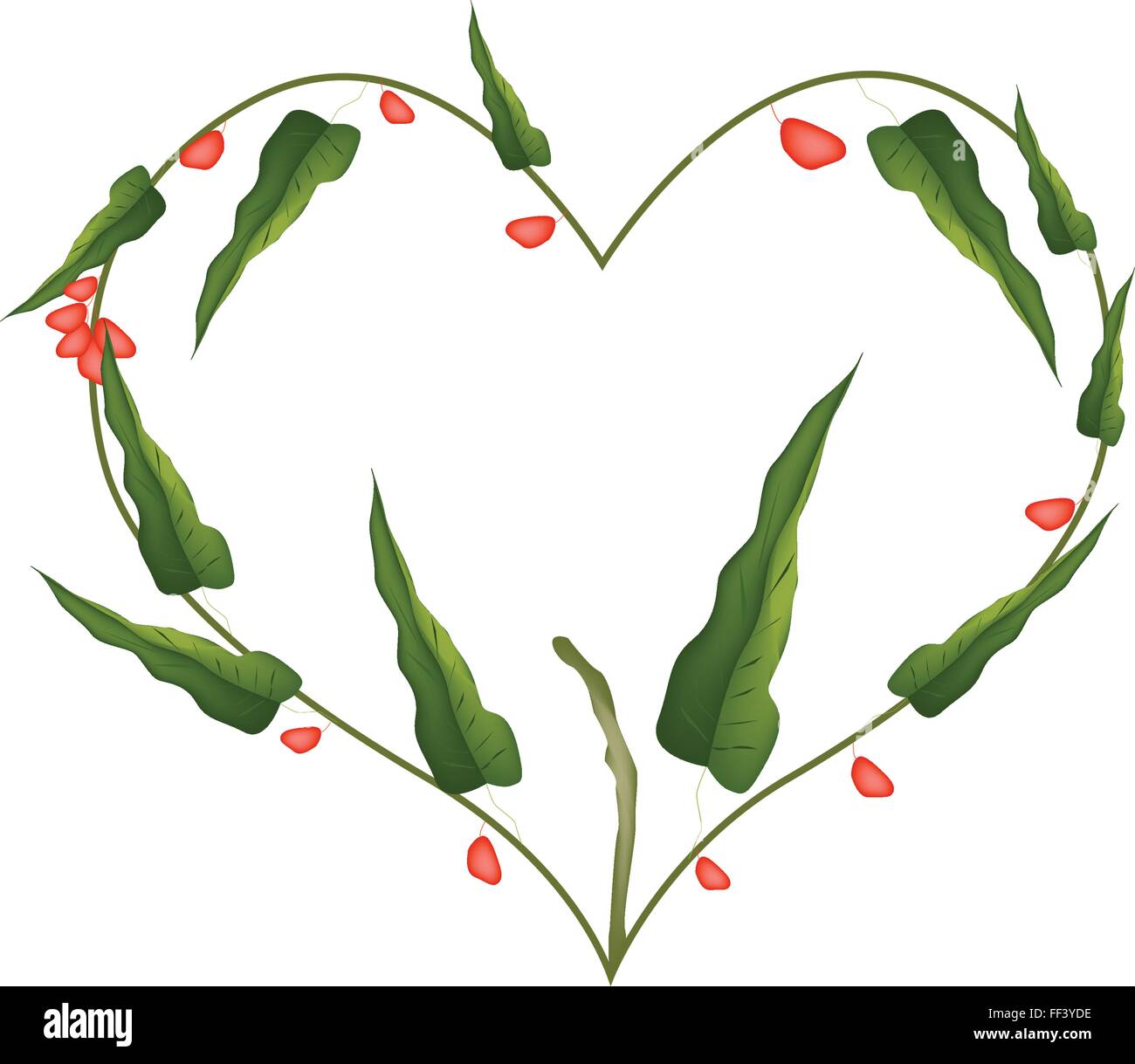 Liebe Konzept, Illustration der Herzform Zweig der Pistazienbäume, Isolated on White Background. Stock Vektor