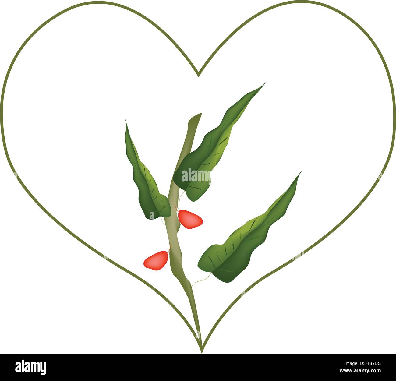 Liebe Konzept, Illustration der Herzform mit Zweig der Pistazienbäume, Isolated on White Background. Stock Vektor