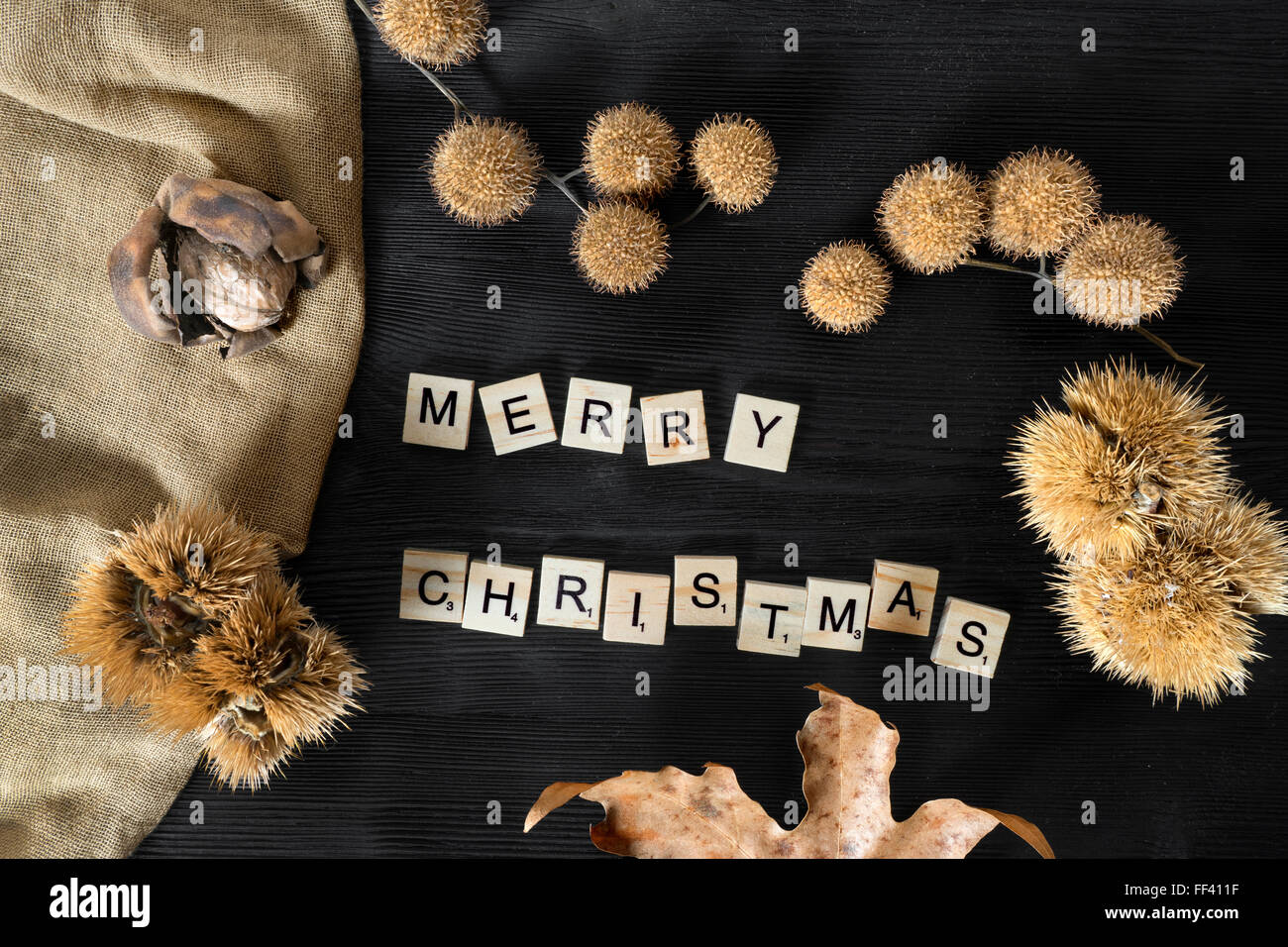 Frohe Weihnachten-Konzept mit natürlichen Dekoration Blätter, Kastanien und Nüssen auf schwarzem Hintergrund Stockfoto