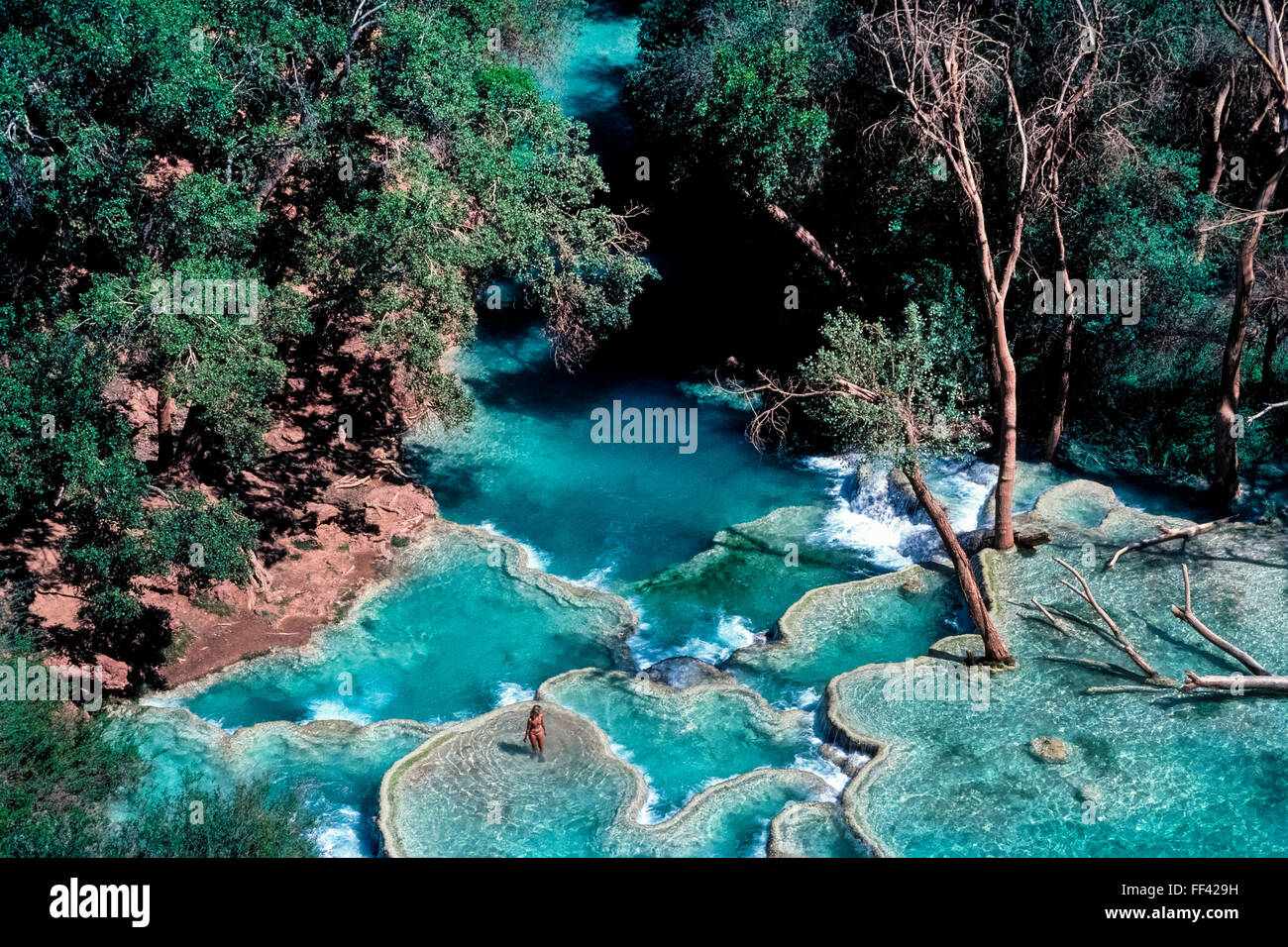 Schönes und Erfrischendes türkisfarbenen Pools an der Basis des Havasu Wasserfall ziehen Besucher zu den isolierten Havasupai Indian Reservation, grenzt an den Grand Canyon Nationalpark in Arizona, USA. Eine hohe Konzentration von Kalziumkarbonat im Wasser führt zu Seinem lebendigen Blau-grüne Farbe und die natürliche Travertin Dämme, dass diese einladenden Pools bilden. Die Havasupai tribal Name bedeutet entsprechend "Menschen des blau-grünen Wasser". Stockfoto