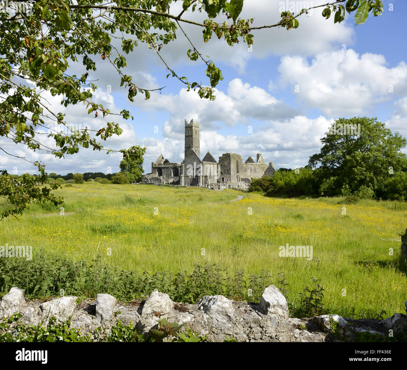 irische Wahrzeichen, Quin Abtei, County Clare, Irland Stockfoto