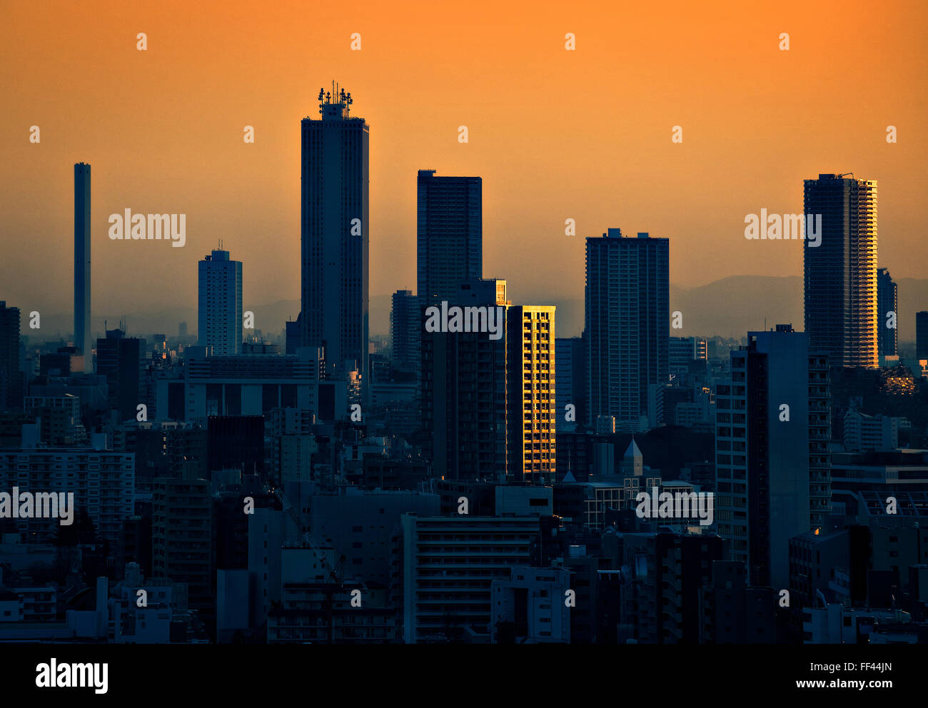 Japan, Honshu-Insel, Kanto, Tokio, Skyline in der Abenddämmerung. Stockfoto