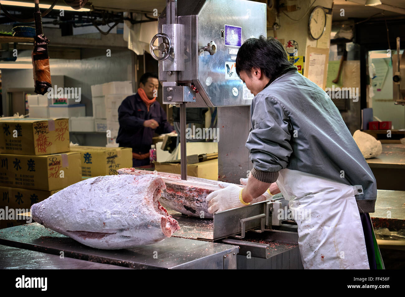 Japan, Insel Honshu, Kanto, Tokio, Tsukiji-Markt, einen gefrorenen Thunfisch zu schneiden. Stockfoto