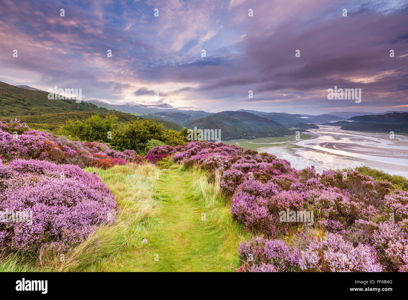 Mawddach Mündung von der Panorama-Walk über Barmouth, Gwynedd, Wales, Vereinigtes Königreich, Europa gesehen. Stockfoto