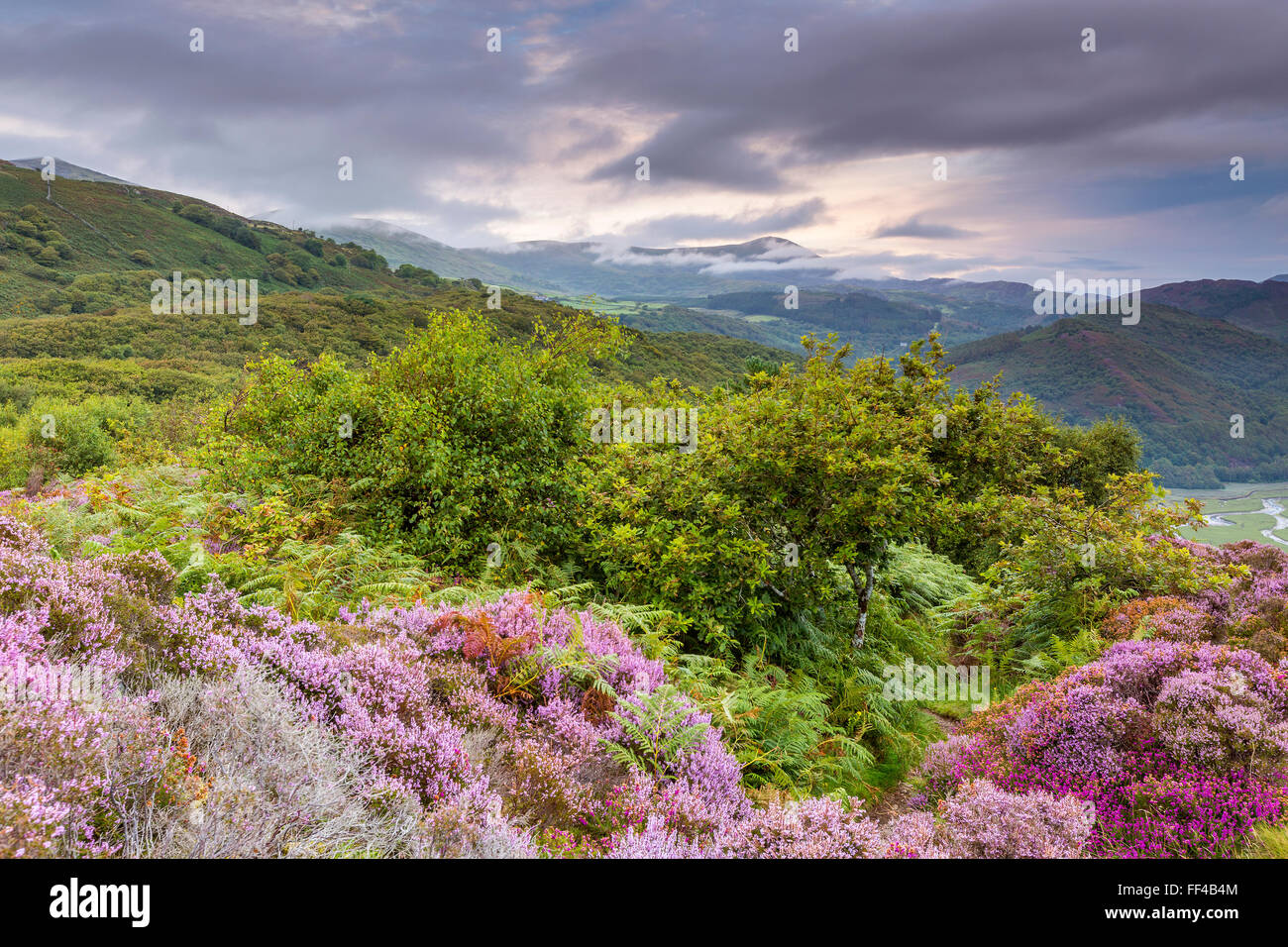 Mawddach Mündung von der Panorama-Walk über Barmouth, Gwynedd, Wales, Vereinigtes Königreich, Europa gesehen. Stockfoto