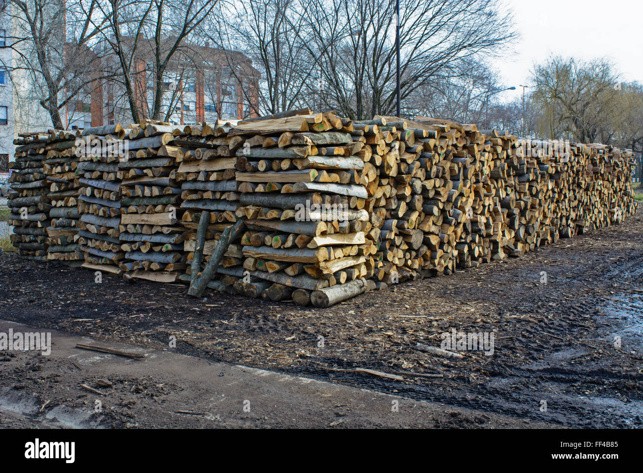 Holzschnitt auf dem Betriebshof des Protokolls und zum Verkauf bereit. Stockfoto