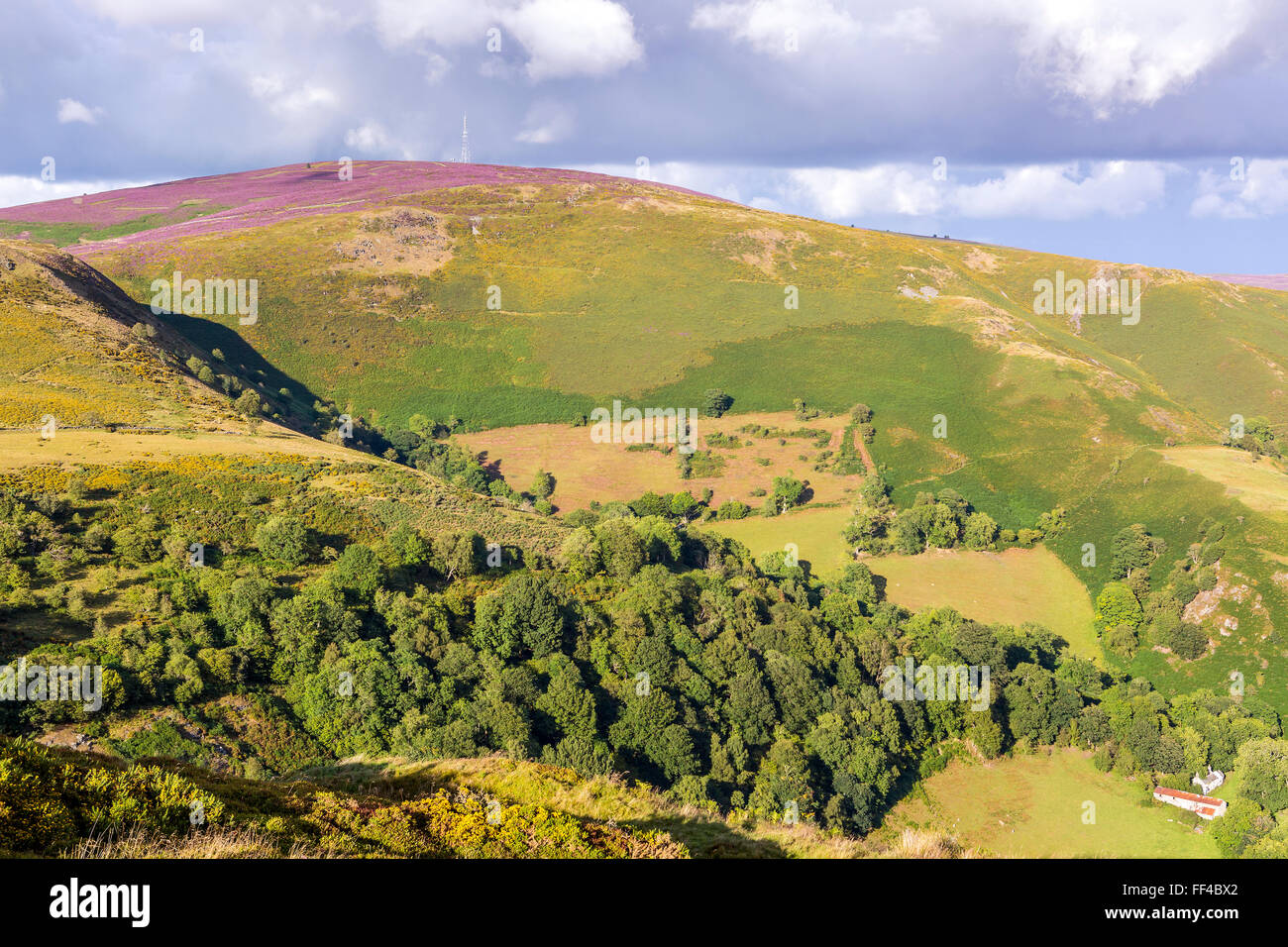 Maesyrychen Berg von Horseshoe Pass, Llanddegla, Denbighshire, Wales, Vereinigtes Königreich, Europa gesehen. Stockfoto