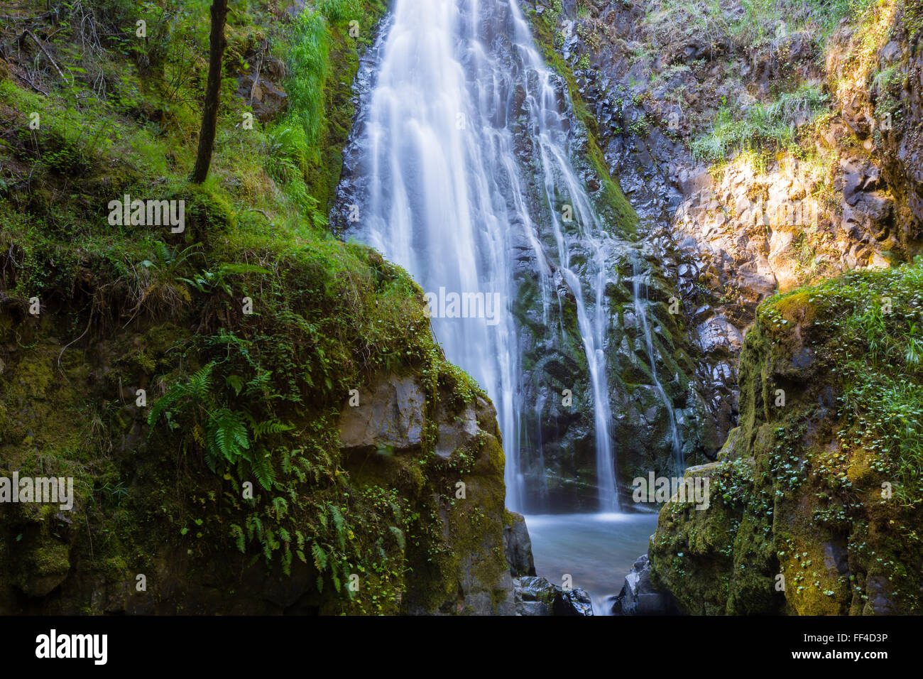 Susan Creek Falls im Umpqua National Forest. Dieser Wasserfall ist recht groß und leicht zugänglich. Stockfoto