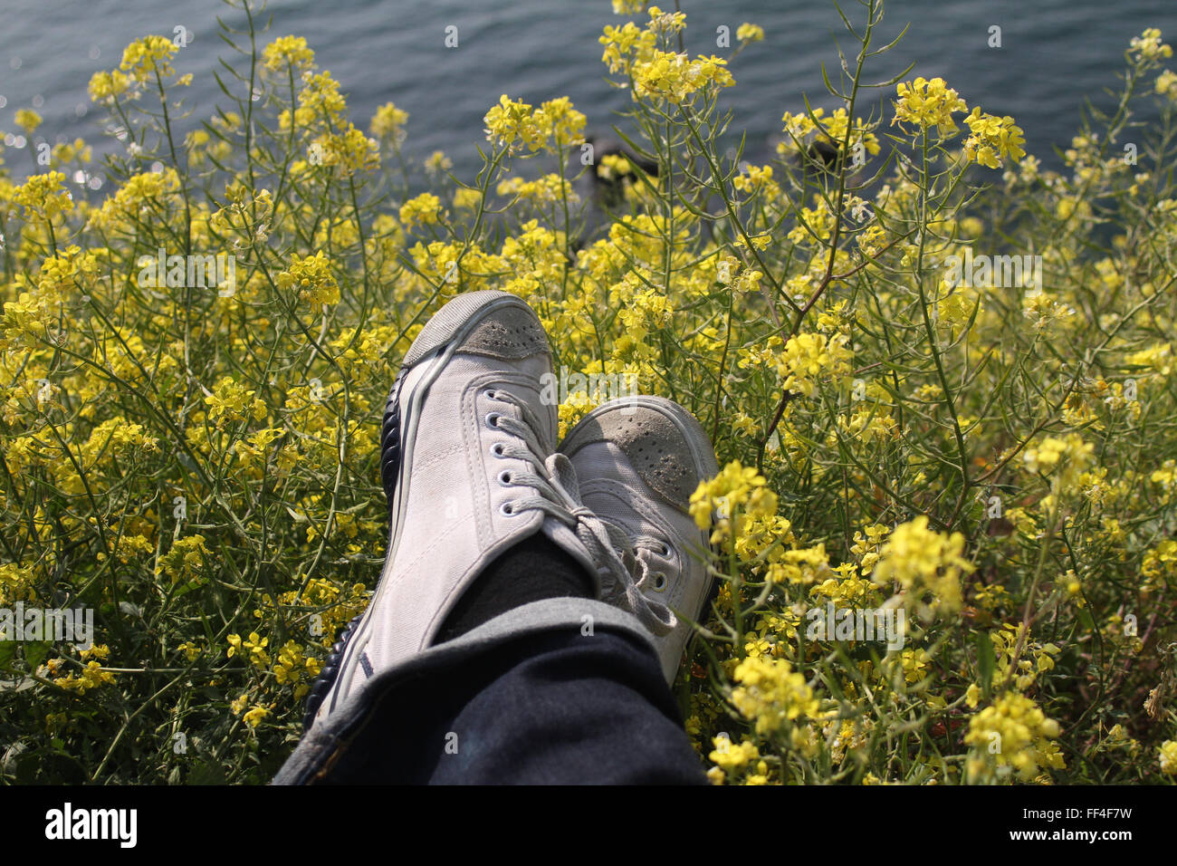 Schuhe und Blume Stockfoto