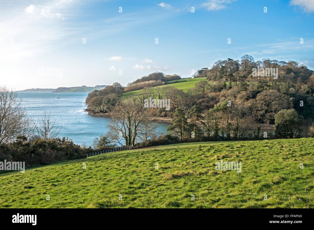 Blick auf die Carrick Roads in Cornwall, Großbritannien Stockfoto