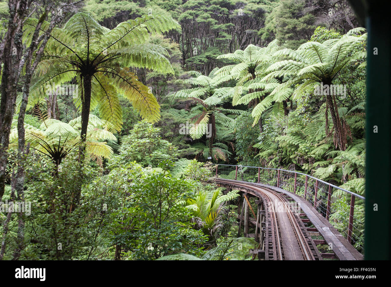 Bei Driving Creek Railway und Potteries.Near Coromandel Town, Coromandel Halbinsel, North Island, Neuseeland, NZ, Stockfoto