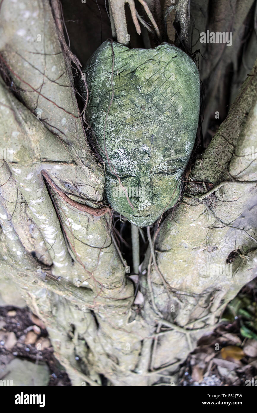 Menschliche Maske in Baum, Nakhon Si Thammarat Stockfoto