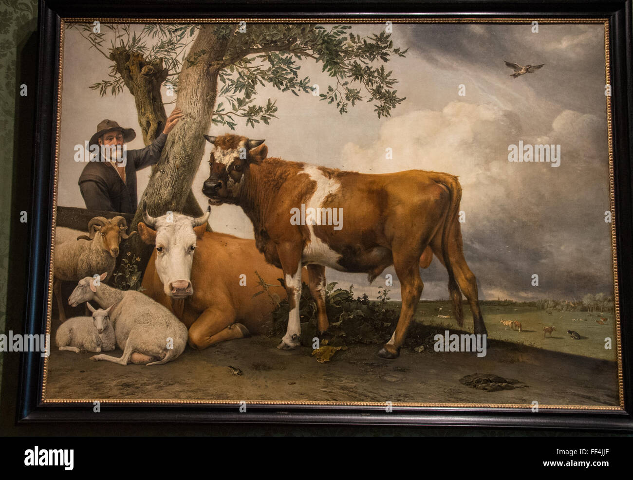 Gemälde "den Stier" von Paulus Potter im Mauritshuis in Den Haag holland Stockfoto