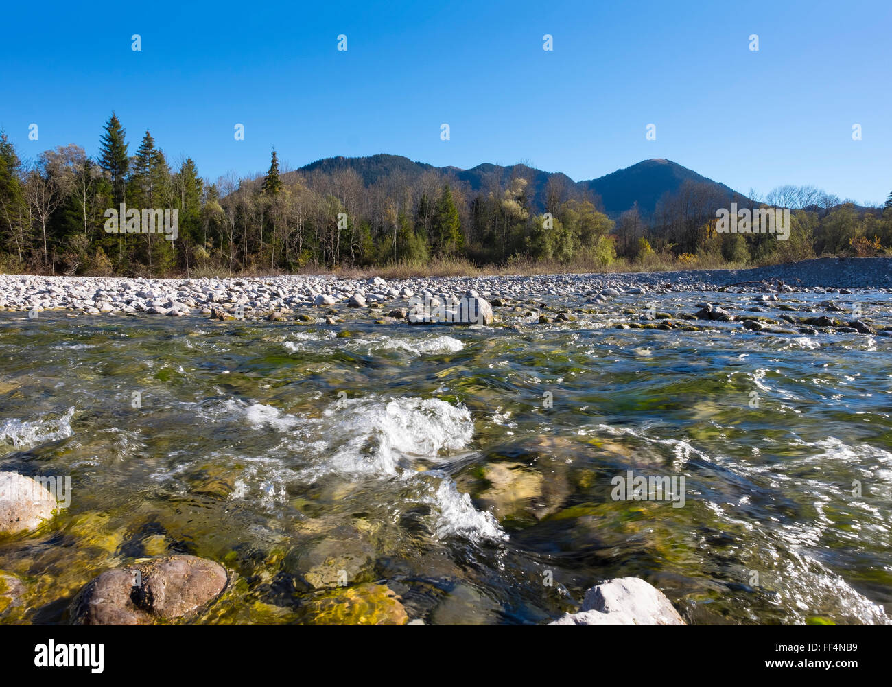 Isar River bei Leger, Lenggries, Isarwinkel, Upper Bavaria, Bavaria, Germany Stockfoto