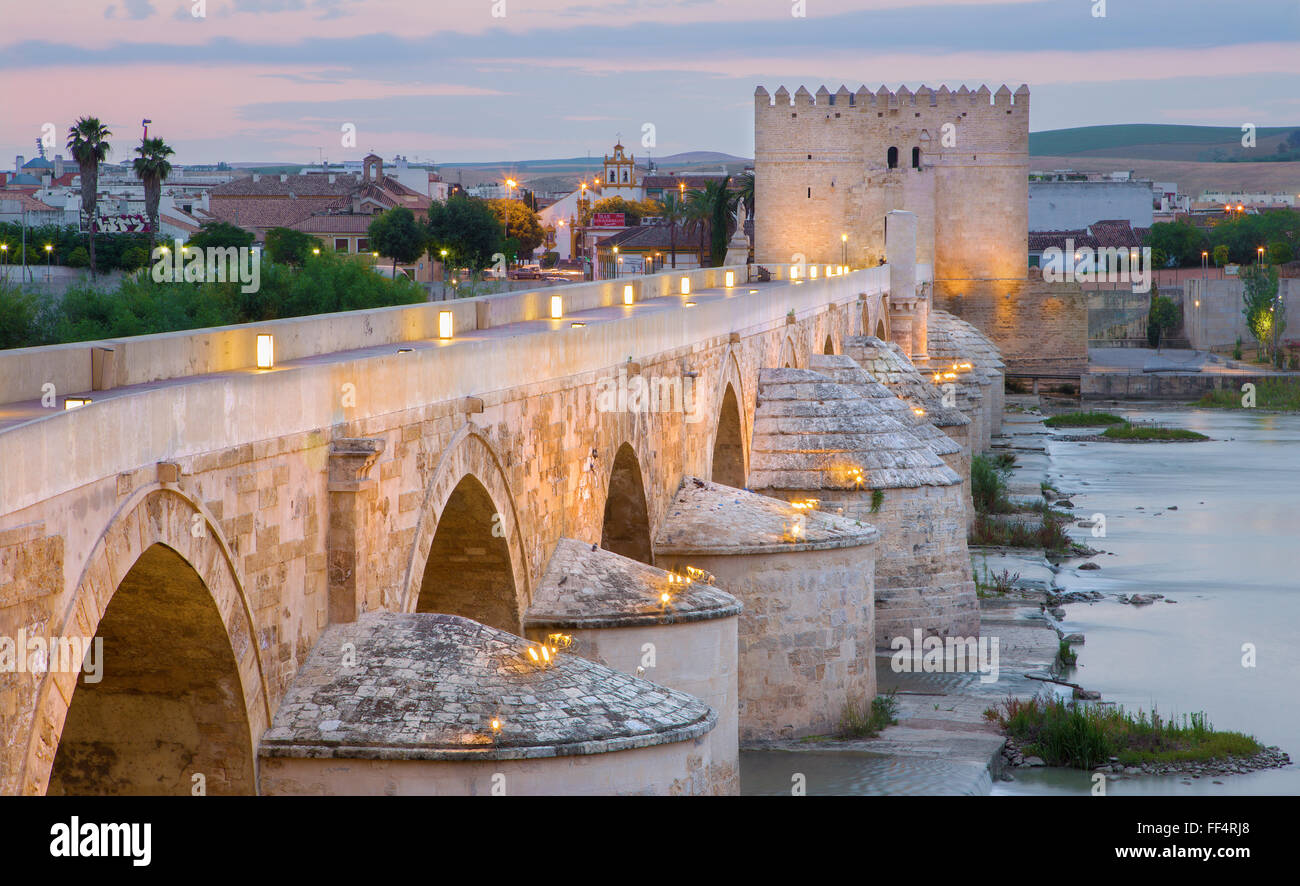 Cordoba - die römische Brücke und Torre de Calahorra in der Abenddämmerung Stockfoto