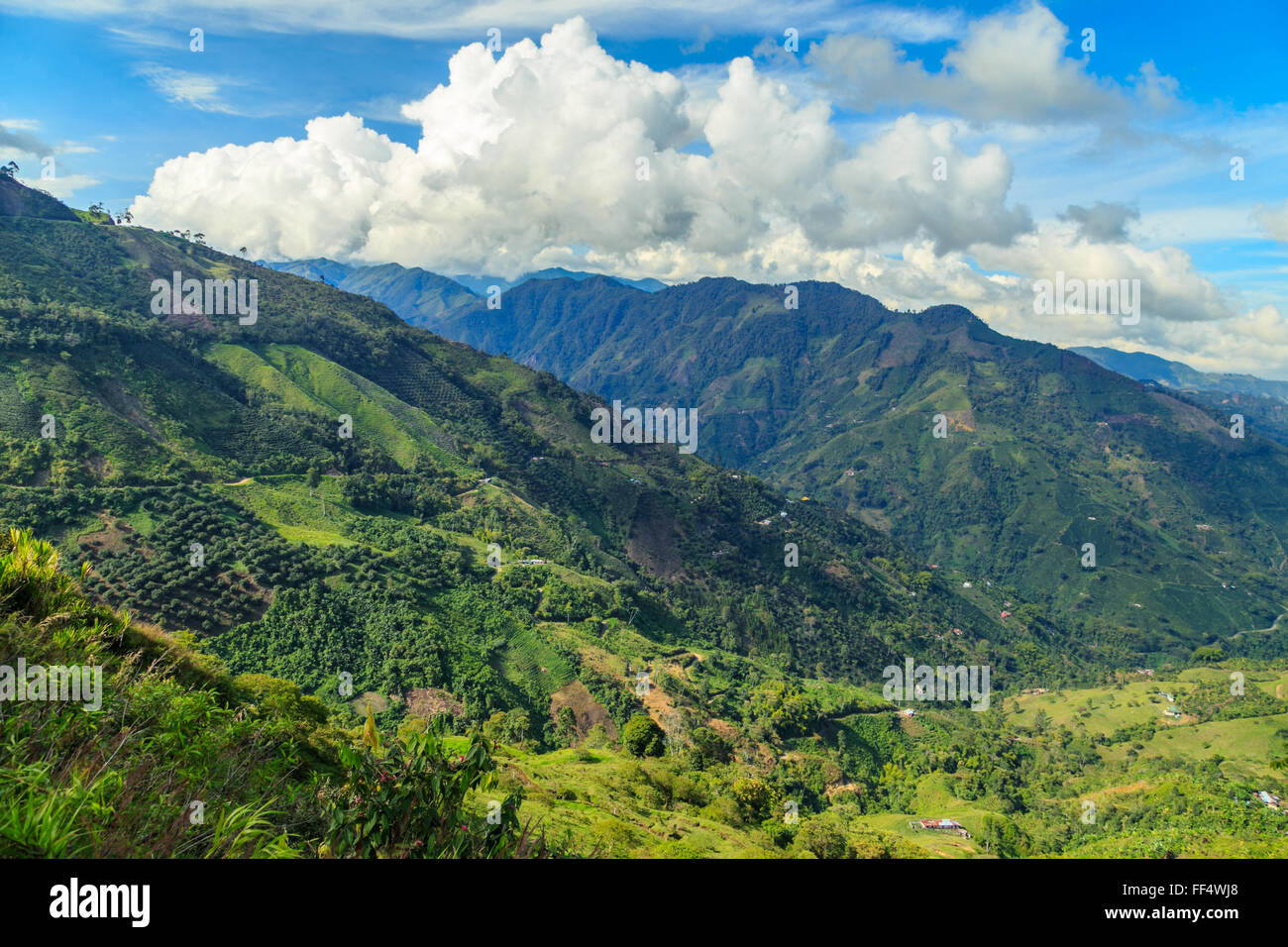 grüne Berge Landschaft, grüne Berge in Kolumbien, Lateinamerika, Palmen und Kaffee in Kolumbien Stockfoto grüne Berge Landschaft, grüne Berge in Kolumbien, Lateinamerika, Palmen und Kaffee in Kolumbien Stockfoto