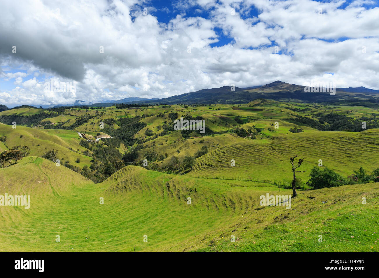 grüne Berge Landschaft, grüne Berge in Kolumbien, Lateinamerika, Palmen und Kaffee in Kolumbien Stockfoto grüne Berge Landschaft, grüne Berge in Kolumbien, Lateinamerika, Palmen und Kaffee in Kolumbien Stockfoto