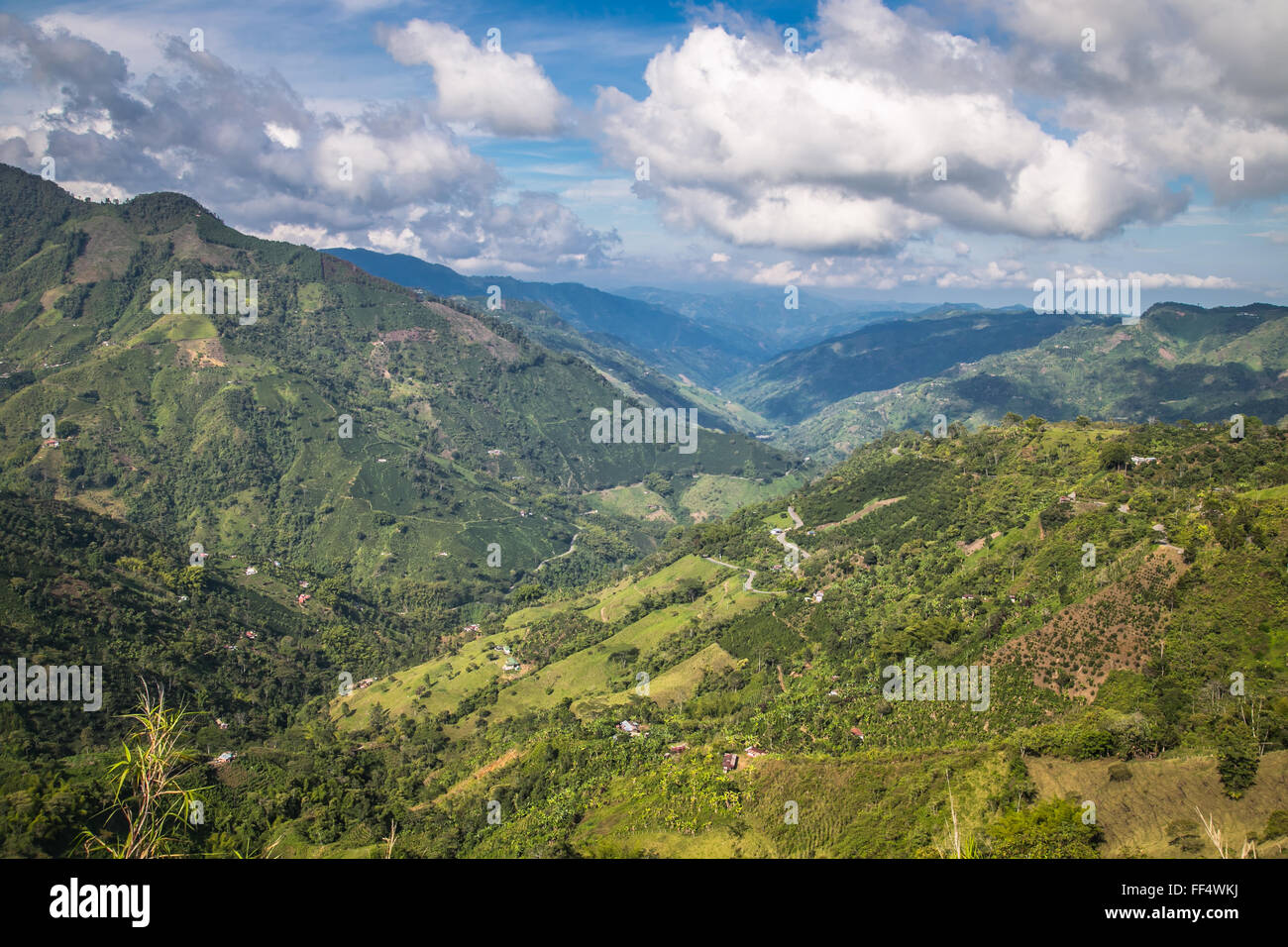 grüne Berge Landschaft, grüne Berge in Kolumbien, Lateinamerika, Palmen und Kaffee in Kolumbien Stockfoto grüne Berge Landschaft, grüne Berge in Kolumbien, Lateinamerika, Palmen und Kaffee in Kolumbien Stockfoto