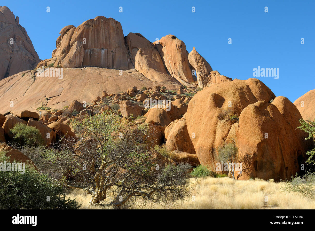 Spitzkoppe mit Sandstein Felsen im Vordergrund, Namibia Stockfoto