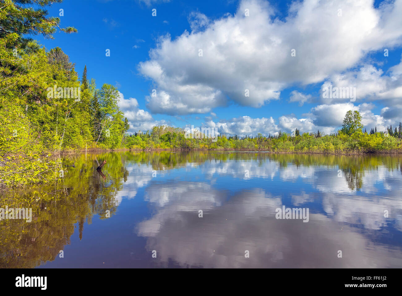 Sommer in Sibirien. Chet Fluss in der Region Tomsk. Stockfoto