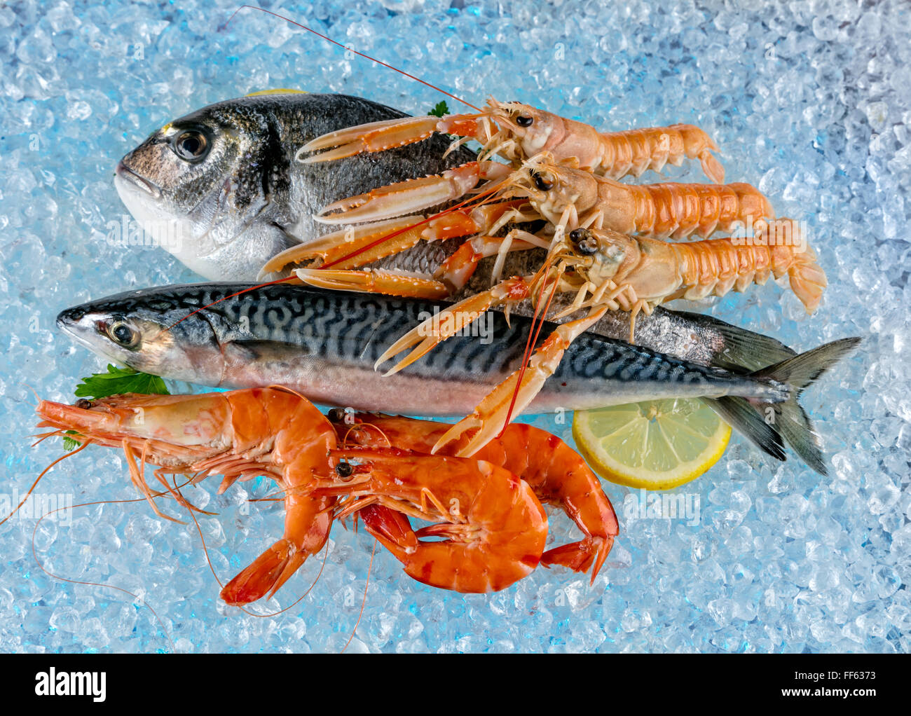 Meeresfrüchte auf Eisgang platziert Stockfoto