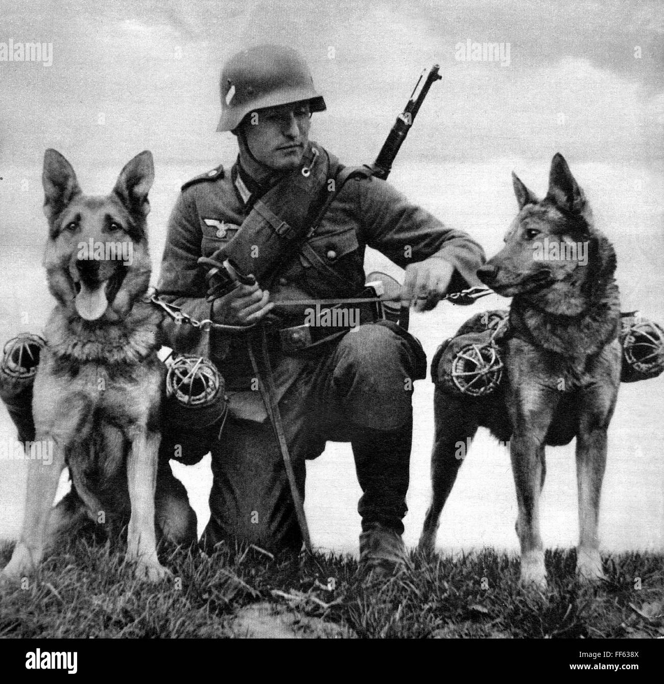 Militär, Deutschland, Wehrmacht, 1940, mit Messenger Hunde ...