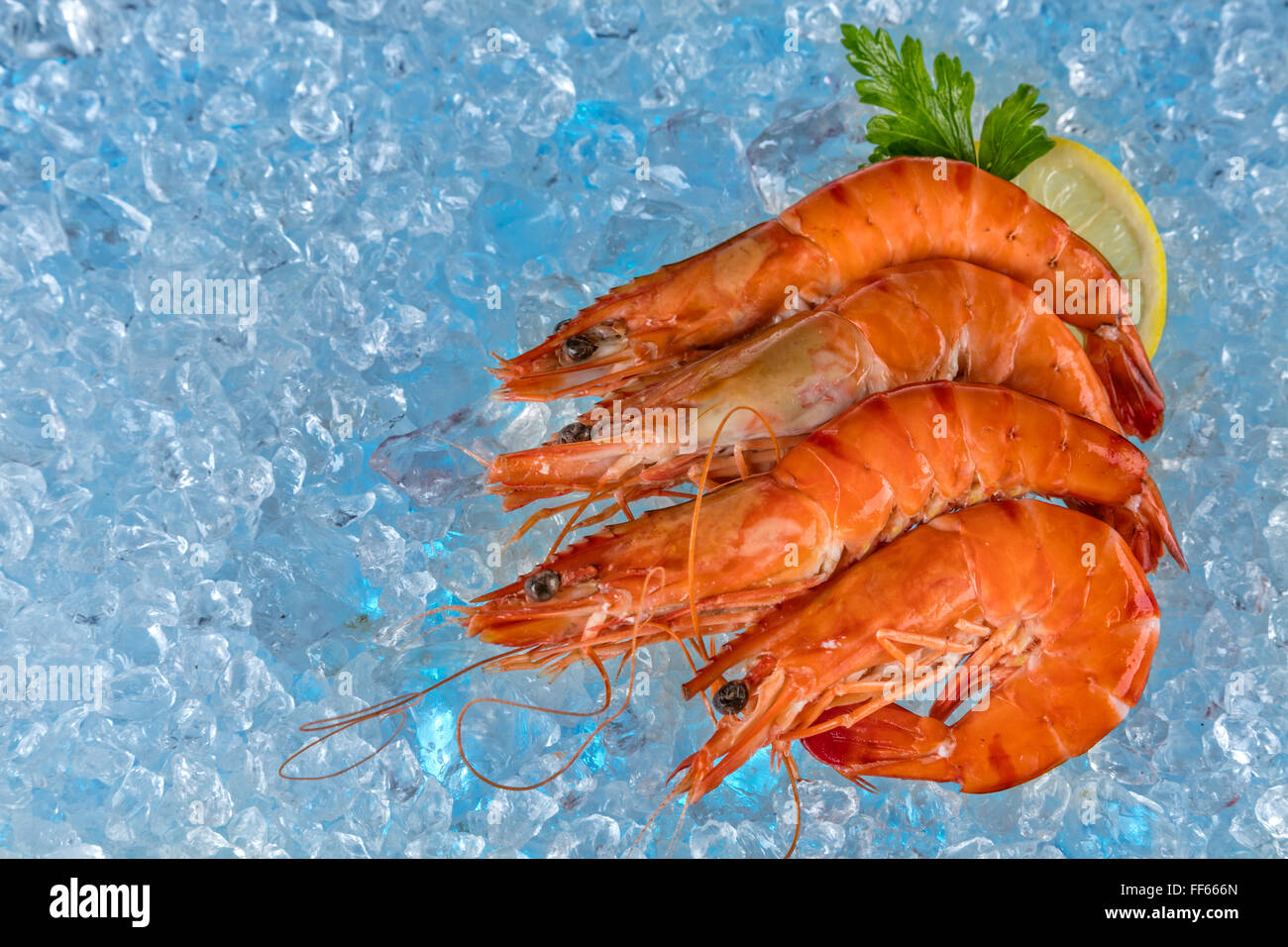 Frische Garnelen auf Eisgang Stockfoto