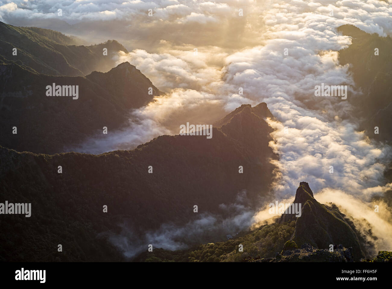 Sonnenaufgang über Schluchten und zerklüftete Täler mit Wolken von der Nordküste zu den zentralen Bergen von Madeira gesehen von Pico Do Ariero führt Stockfoto