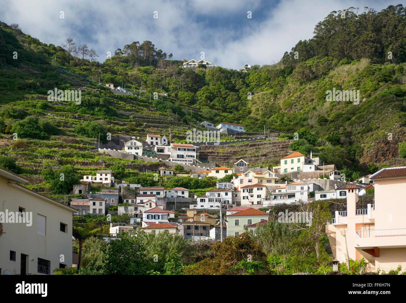 Eine Straße mit engen Kurven führt die steilen Hänge durch weiße und farbige Häuser und Weinberge in Porto Moniz, Madeira Stockfoto