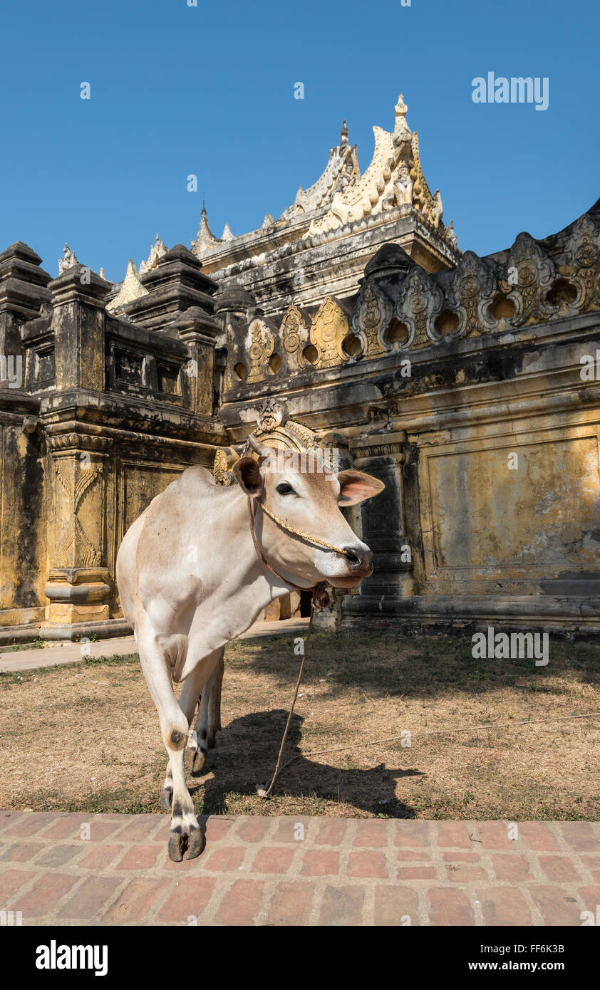 Kuh-außen Maha Aungmye Bonzan (Mahar Aung Mye Bon San) Kloster, Inwa in der Nähe von Mandalay, Birma (Myanmar) Stockfoto