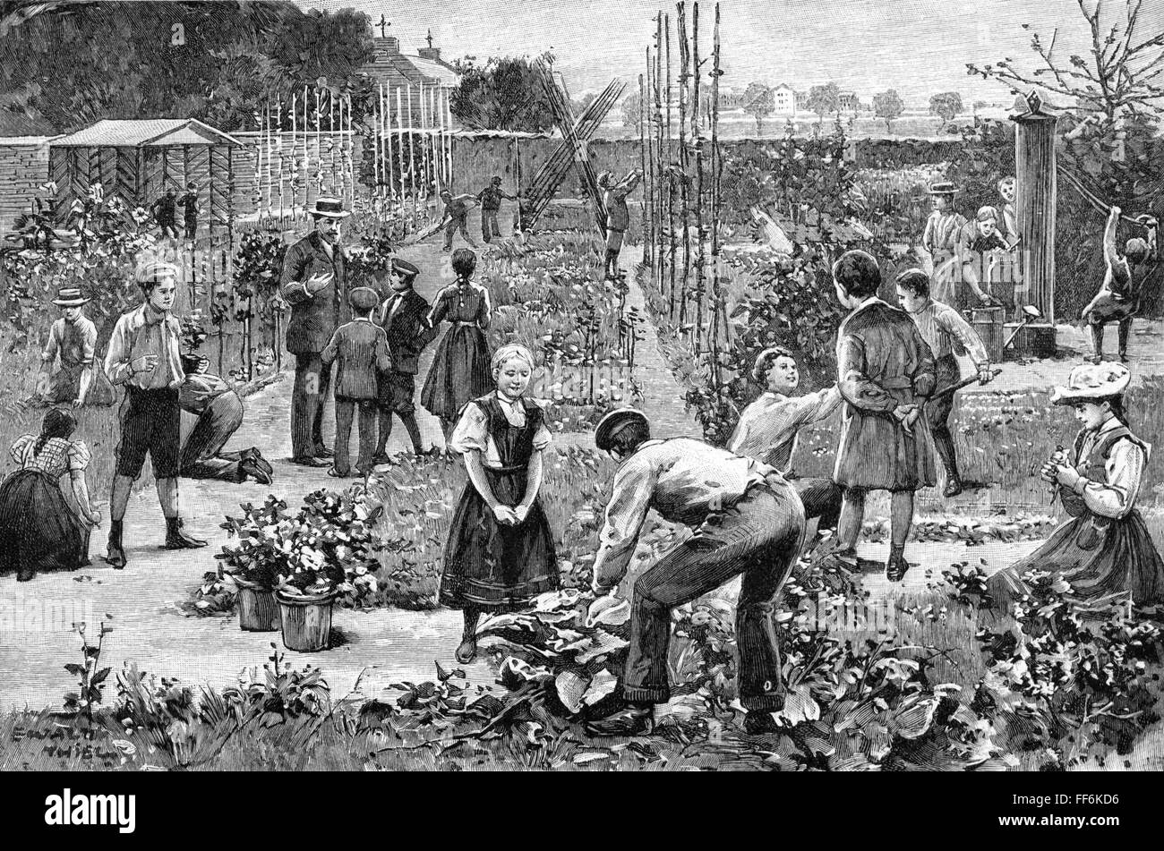 Pädagogik, Schule / Unterricht / Disziplin, Unterricht im kommunalen Schulgarten, Friedenau, nach Zeichnung von Ewald Thiel (* 1855), Holzstich, aus: 'Die Gartenlaube', Nr. 9, Leipzig, 1899, Zusatz-Rechte-Clearenzen-nicht vorhanden Stockfoto