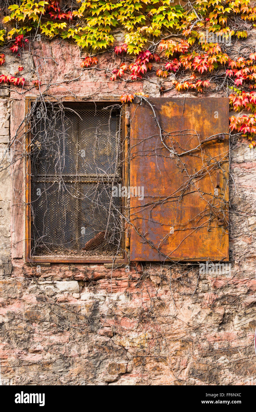 Fenster mit rostigen Metall Verschluss auf überwucherten alten Steinmauer Stockfoto