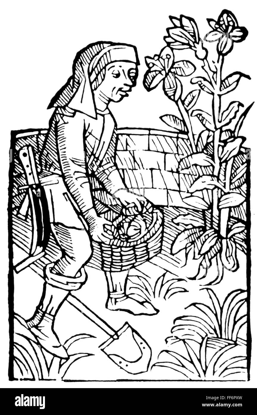 Bauern im Mittelalter Bilder: Bringing History to Life Through Drawing!