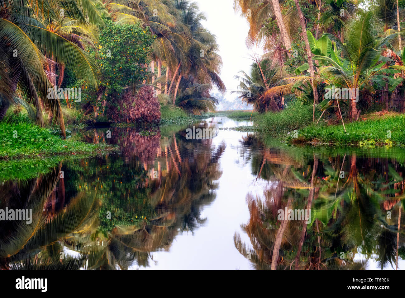 Alappuzha, Backwaters, Kerala, Südindien, Asien Stockfoto