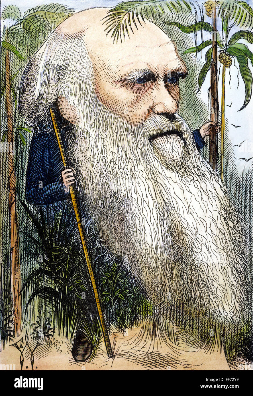 CHARLES ROBERT DARWIN /n(1809-1882). Karikatur, 1872, durch Frederick Waddy. Stockfoto