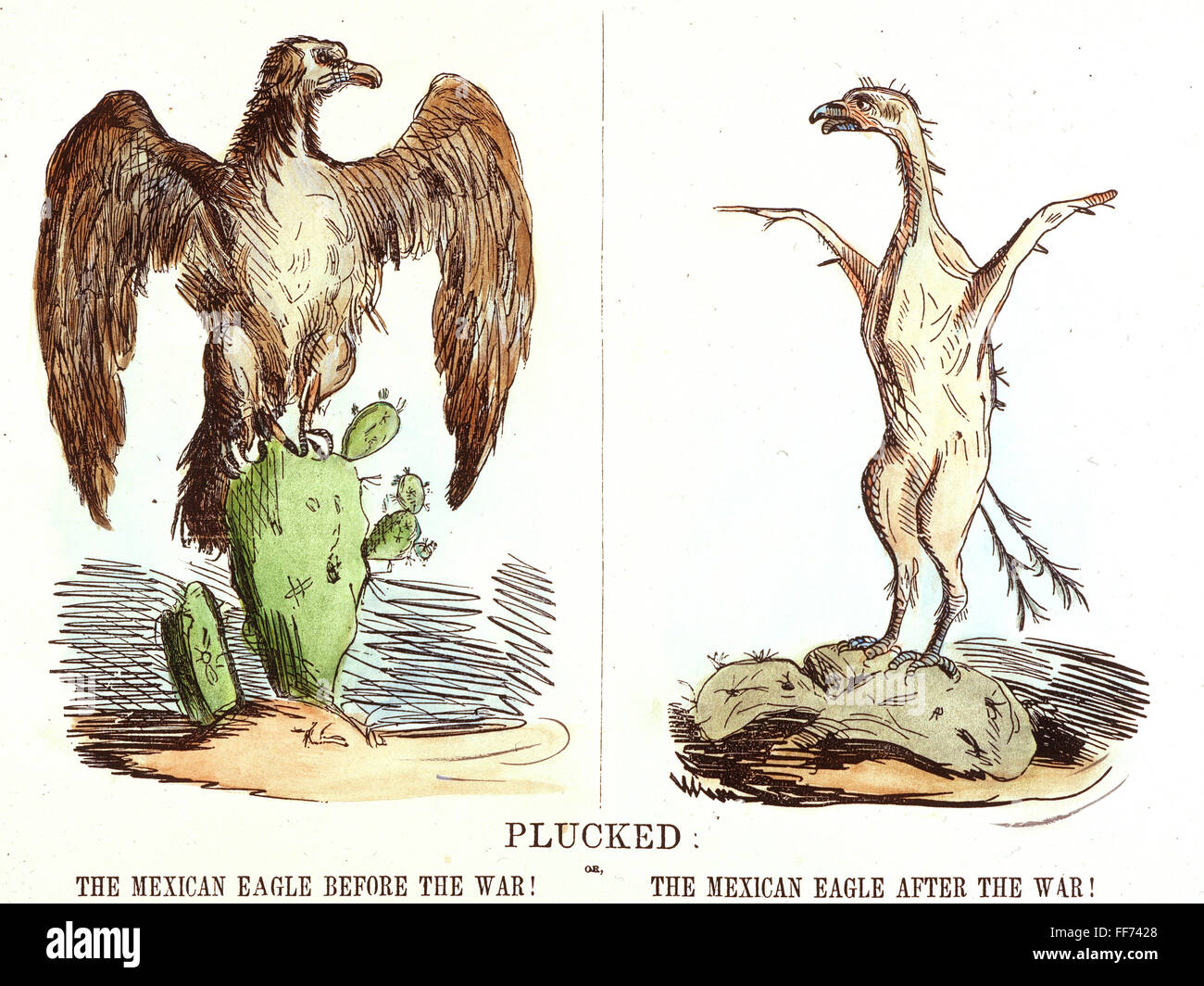 CARTOON: MEXIKANISCH-AMERIKANISCHEN KRIEGES, 1847. /nPlucked: eine amerikanische Karikatur von 1847 auf den Ausgang des Krieges mit Mexiko. Stockfoto