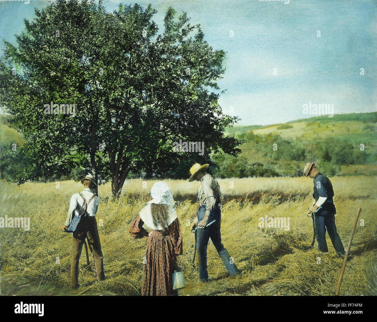 ERNTE, 1901. /nAmerican Bauern mit Sensen mähen. Öl über ein Foto, 1901. Stockfoto