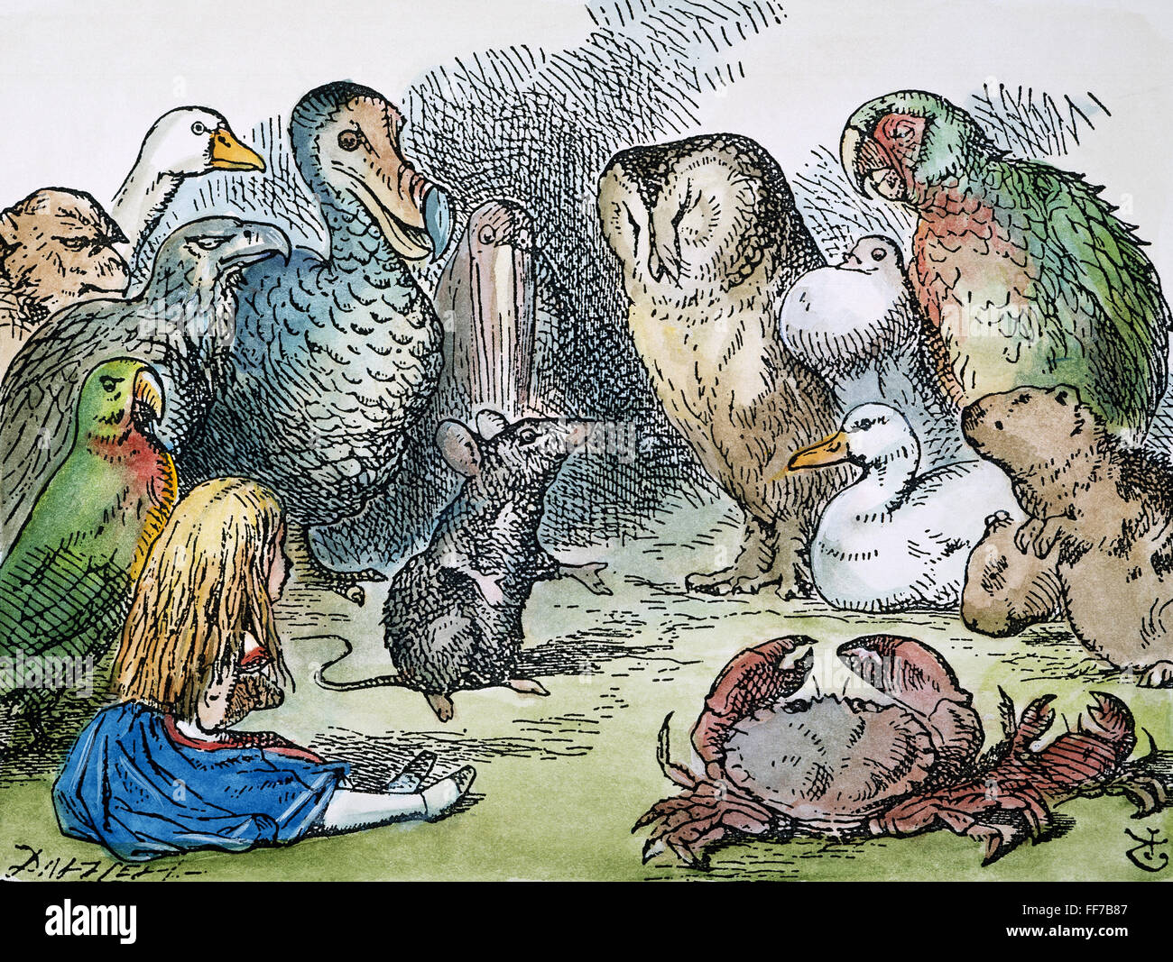 ALICE IN WONDERLAND, 1865. / nAll die Vögel und Tiere "setzte sich auf einmal." Nach dem Design von Sir John Tenniel für die Erstausgabe von Carrolls "Alices Abenteuer im Wunderland." Stockfoto